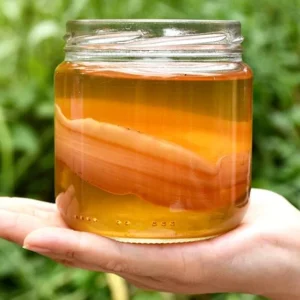 Kombucha